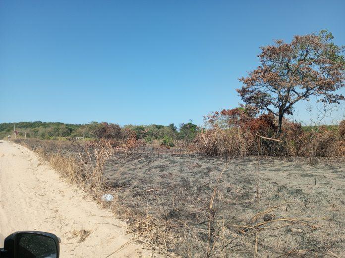 Seca no RJ: ausência de chuvas provoca incêndios florestais, falta de água e danos à agricultura e agropecuária