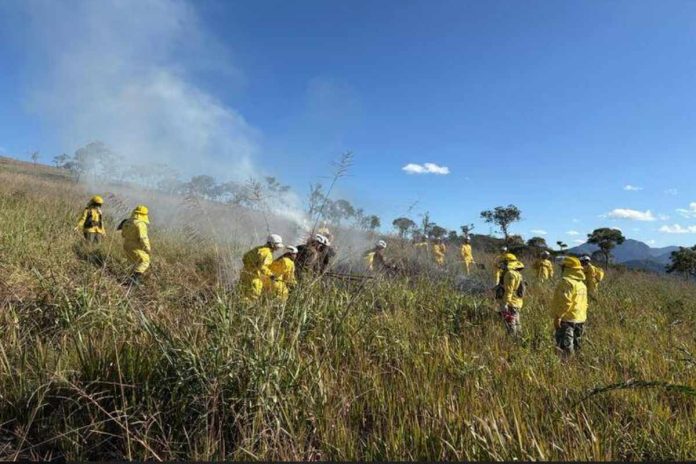 Inea treina voluntários para combater incêndios florestais em Petrópolis