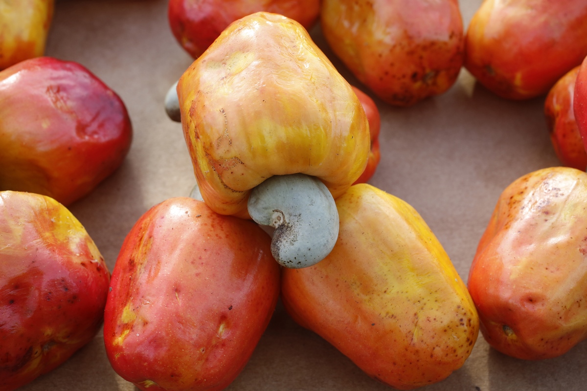 Fruta brasileira rica em magnésio ajuda a controlar o açúcar no sangue