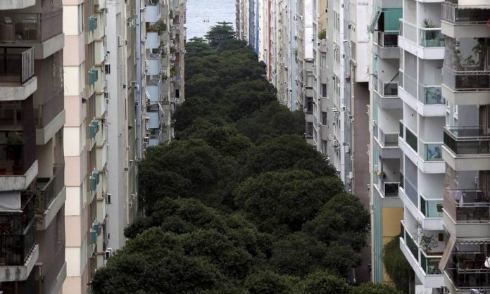 Conjunto de árvores da Rua Santa Clara é tombado como patrimônio do Rio